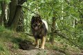 filou 20 (2)